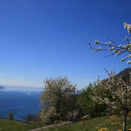 Anna 701 - Gardagate Apartment Garda (Verona)